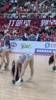 职业啦啦队的感染力！CBA赛场上最美风景线！太甜了吧😍